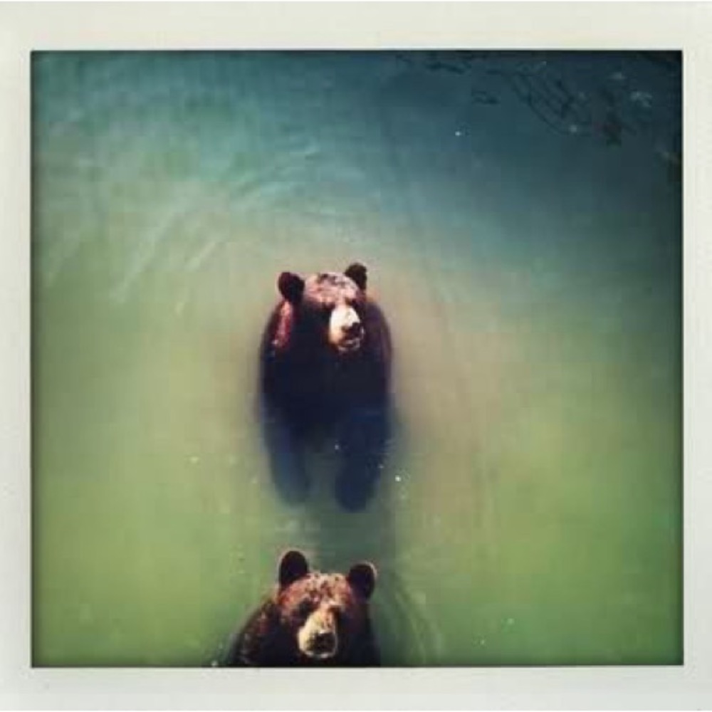 Meet your Posher, Cheese